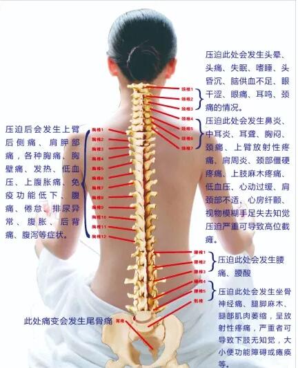 保護腰椎—示范腰椎保健操，趕快收藏吧