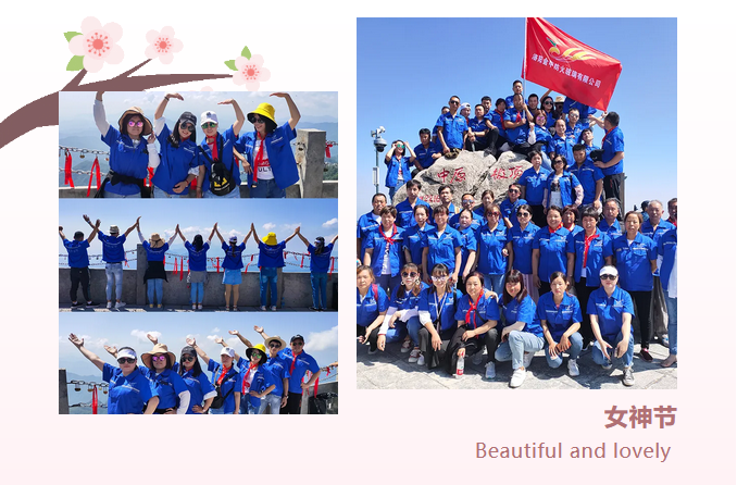 洛陽金甲防火玻璃.png 洛陽金甲防火玻璃.png